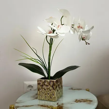 Experience New Bazaar 02 아파트 티라나