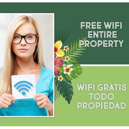 Experience New Bazaar 02 *