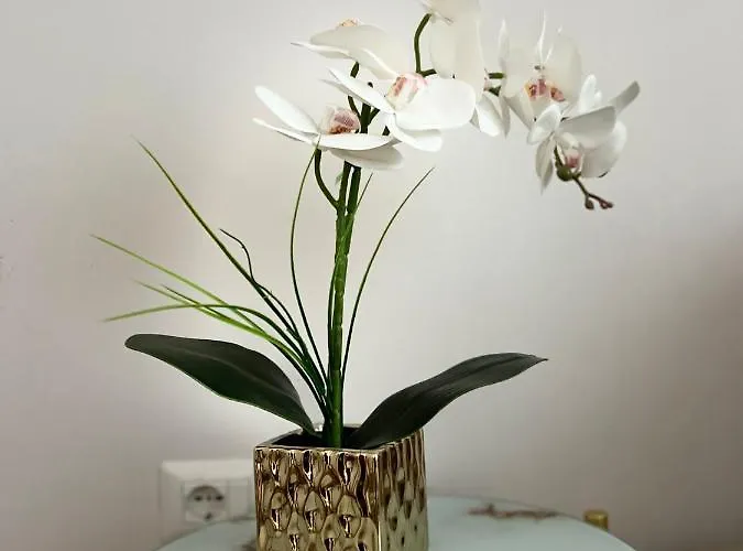 Experience New Bazaar 02 Appartamento Tirana